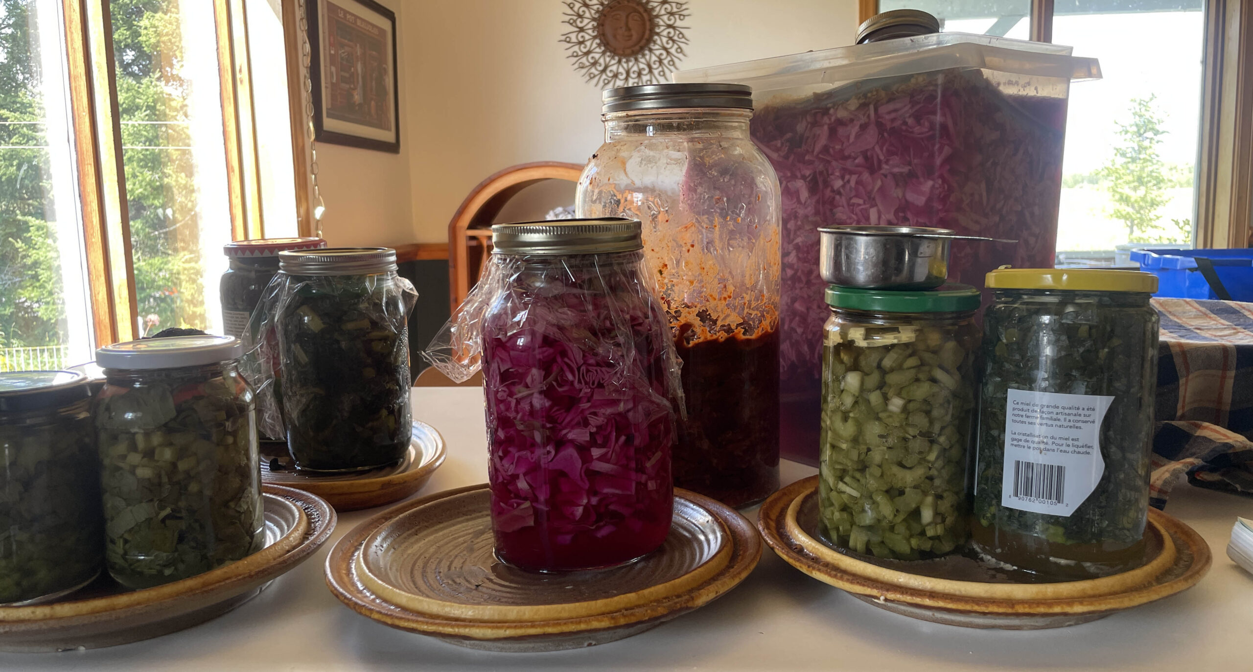 Les meilleurs légumes et recettes pour la lactofermentation